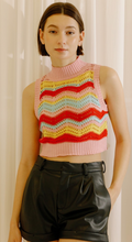 Load image into Gallery viewer, Multicolor Knit Cropped Top
