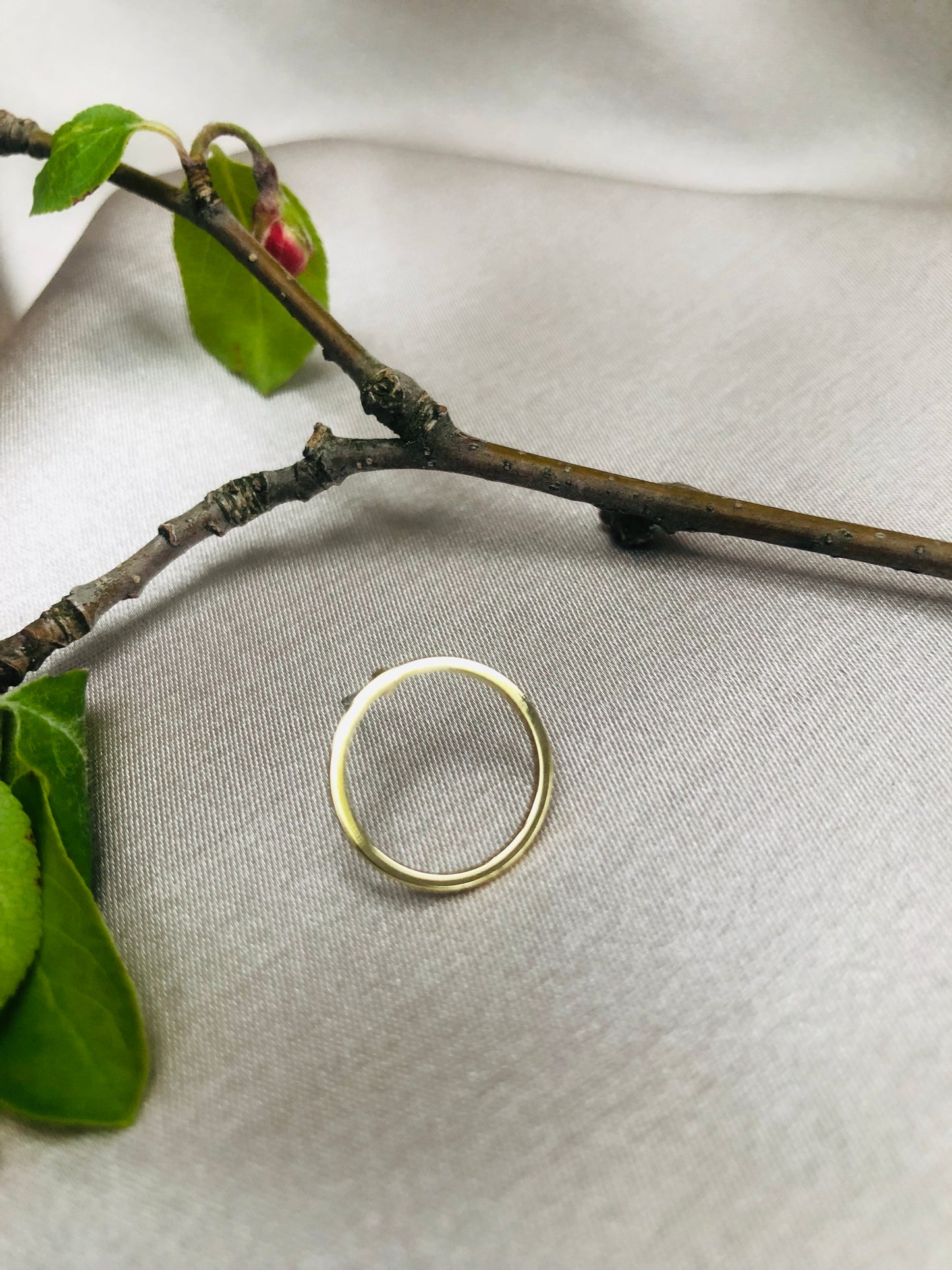 Golden Ring Earrings
