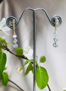 Rhinestone and Diamond Earrings