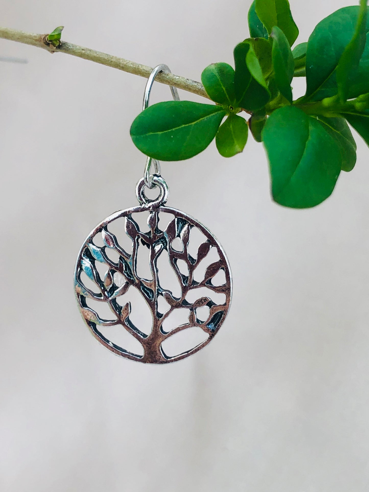 Silver Tree of Paradise