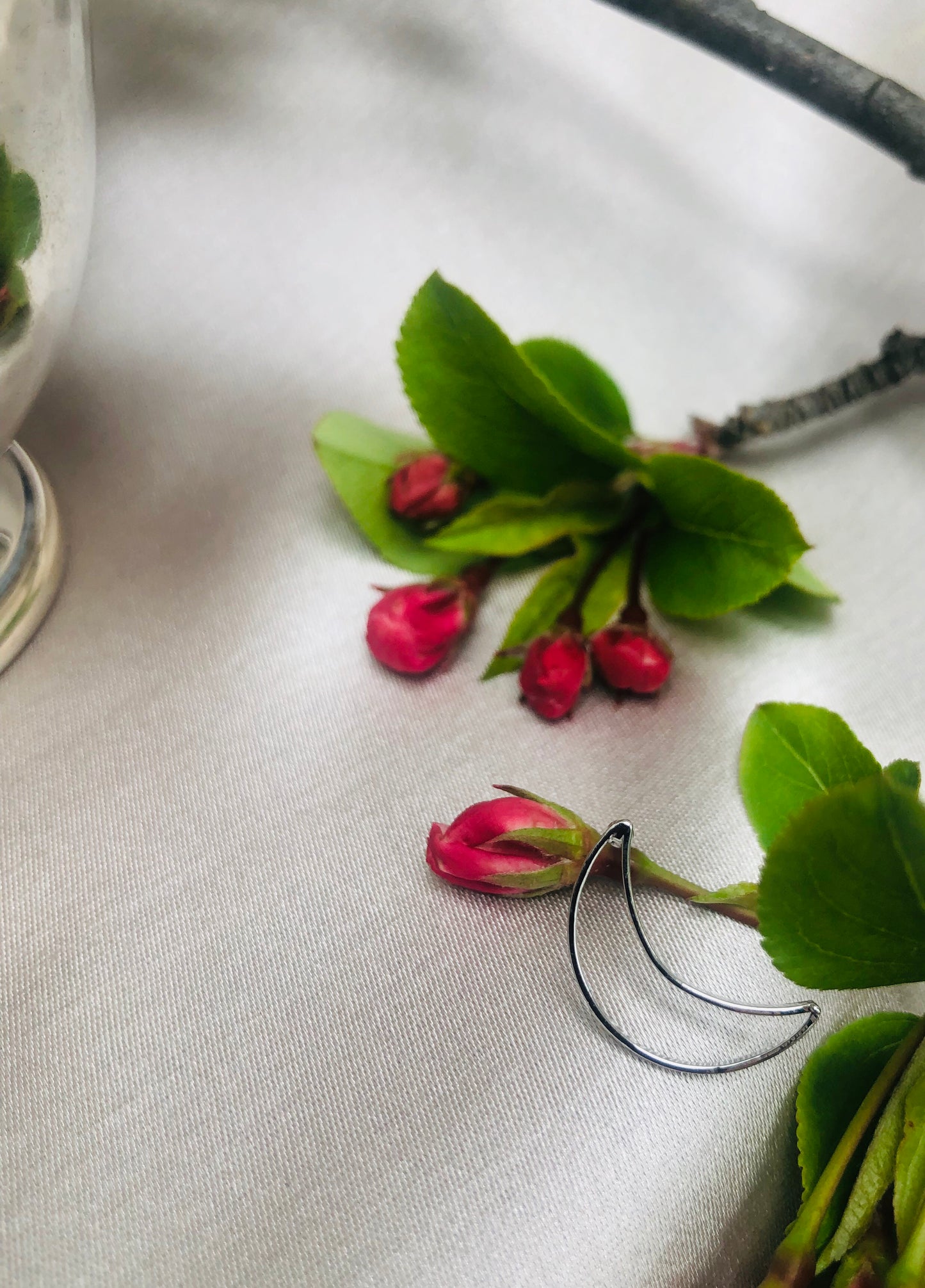 Silver Moon Earrings