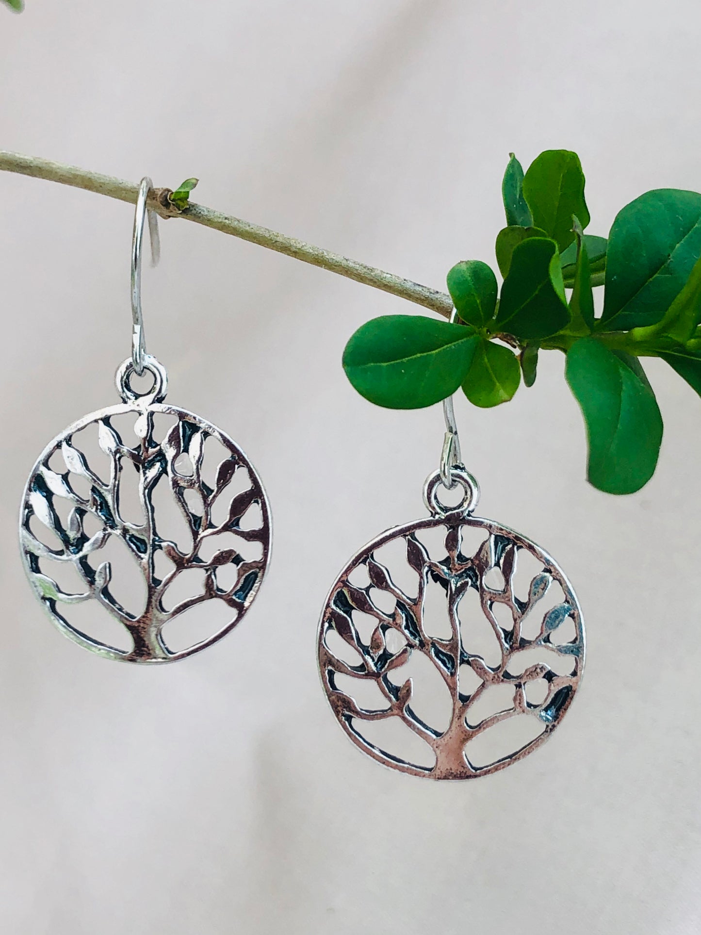 Silver Tree of Paradise