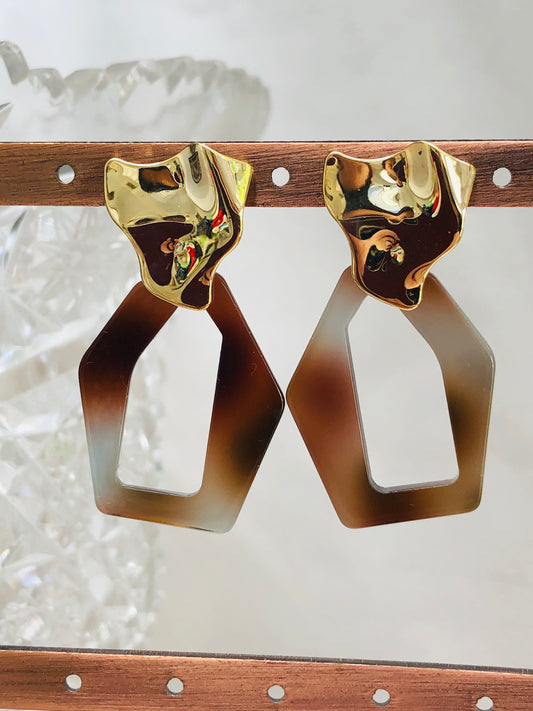 Gold and Tortoise Earrings